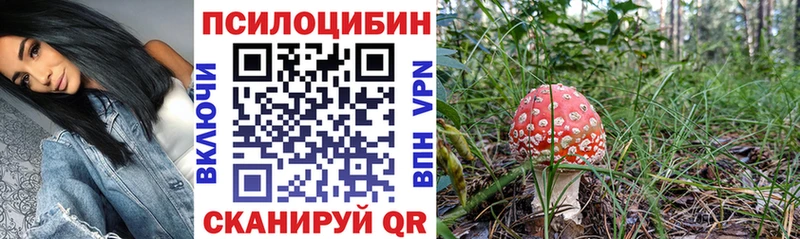 Галлюциногенные грибы прущие грибы  где найти   Мурино 